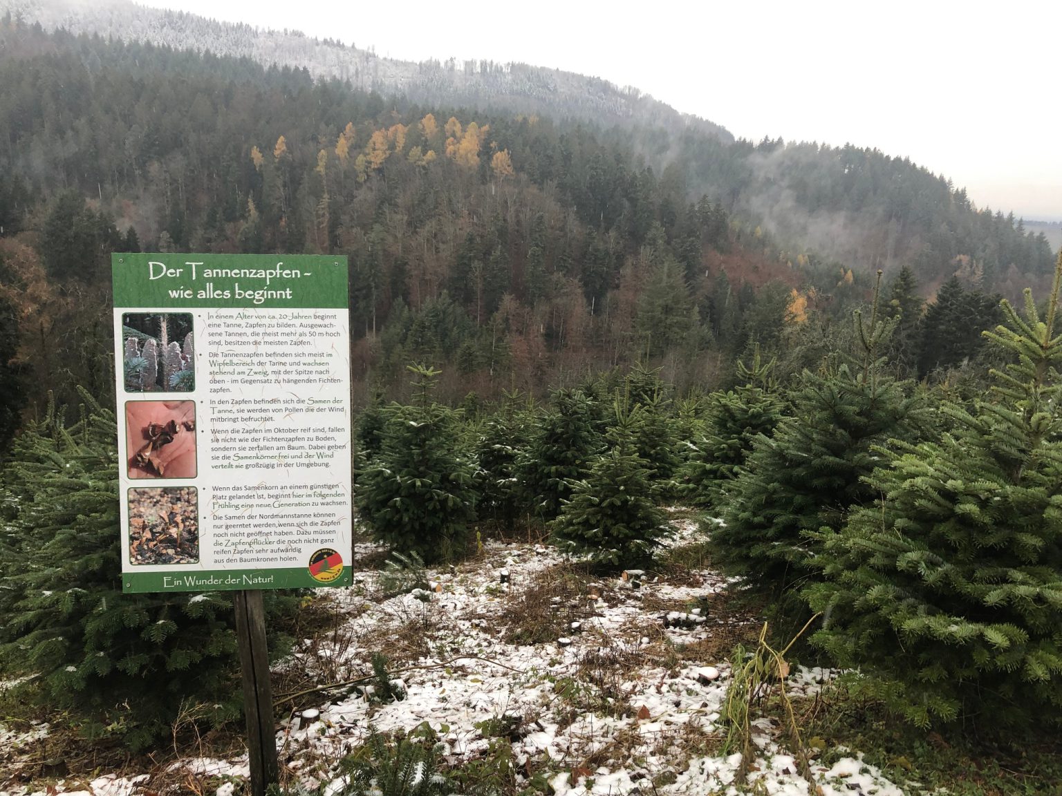 schwarzwälder genießerpfad gebirger höfe weg