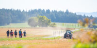 DSC_5472 DSC_5472